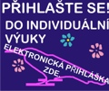 individuální výuka